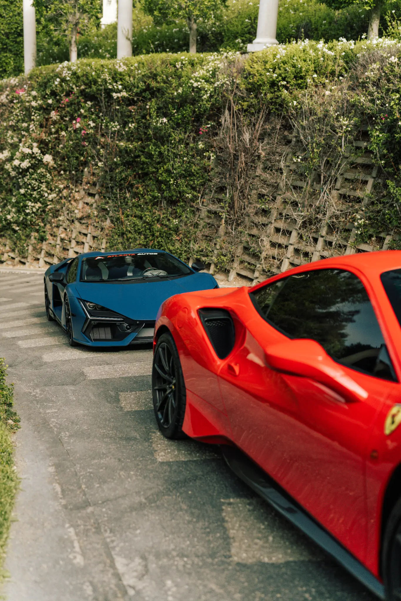 Exotic Lineup